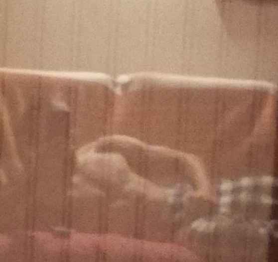 Profil de Dogan, 23 ans, Trav à Leithum