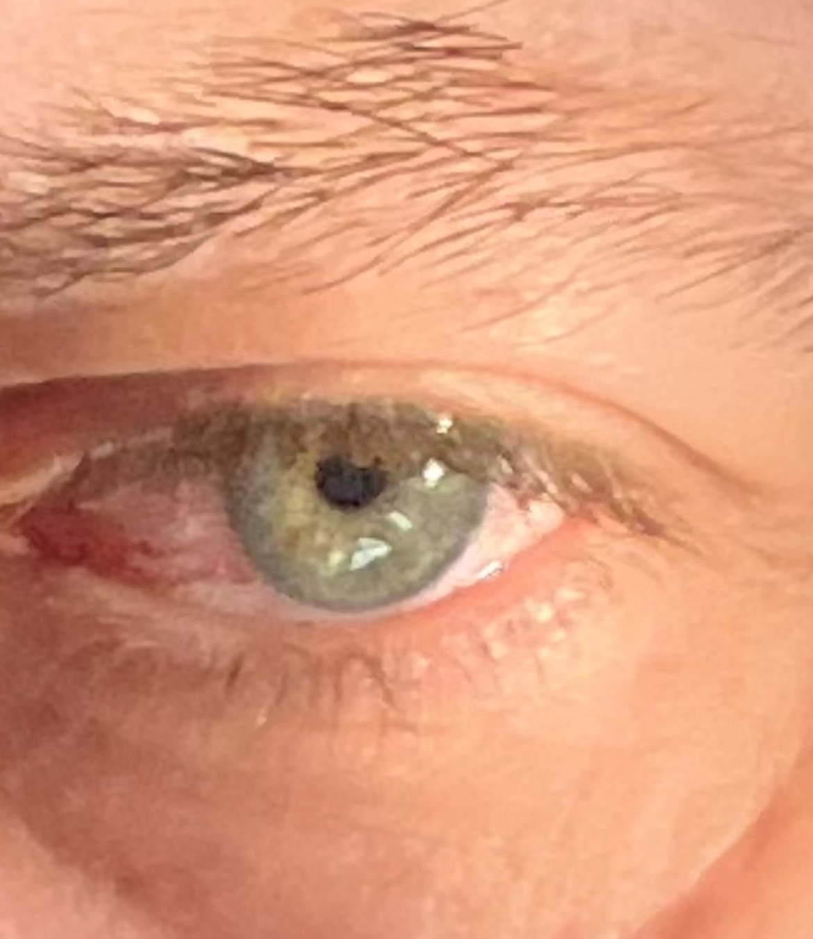 Profil de Mostefa, 49 ans, Trav à Marienthal