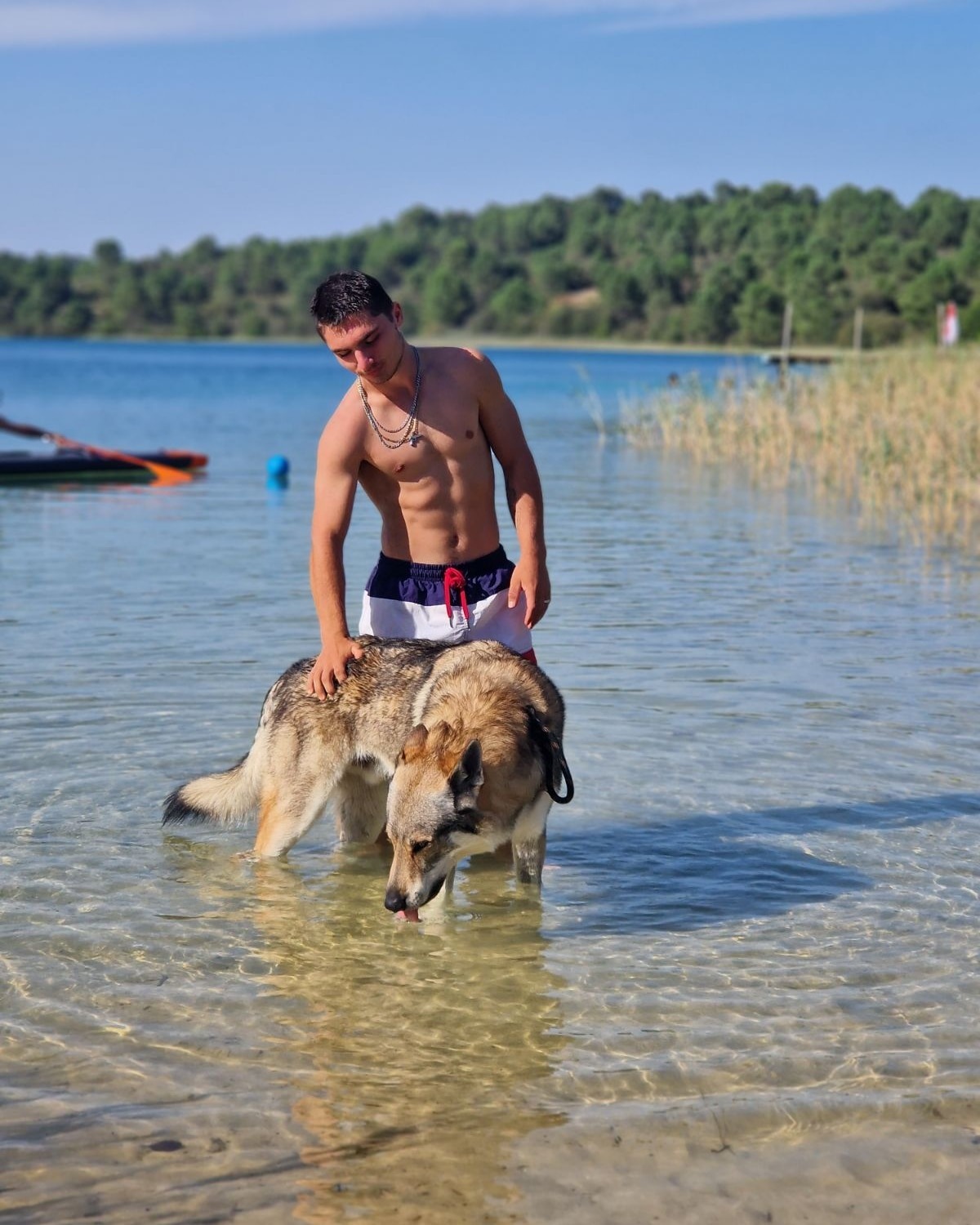 Profil de Alfie, 22 ans, Trav à Troine